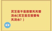 灵芝是不是需要天天要浇水(灵芝是否需要每天浇水？)