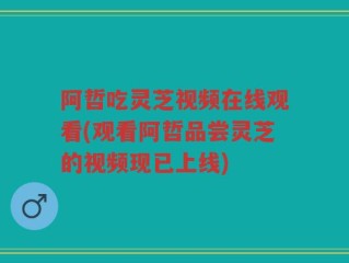 阿哲吃灵芝视频在线观看(观看阿哲品尝灵芝的视频现已上线)