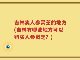 吉林卖人参灵芝的地方(吉林有哪些地方可以购买人参灵芝？)