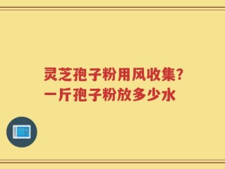 灵芝孢子粉用风收集？一斤孢子粉放多少水