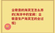 尘歌壶的海灵芝怎么弄的(海洋中的宝藏：尘歌壶生产海灵芝的全过程)