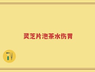 灵芝片泡茶水伤胃