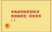 羊肉汤可放灵芝吗(羊肉汤加灵芝：好处多多！)