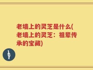 老墙上的灵芝是什么(老墙上的灵芝：祖辈传承的宝藏)