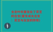 女主叶欢重生捡了灵芝的古言(重生成女古言：灵芝与女主的传奇)