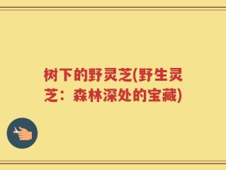 树下的野灵芝(野生灵芝：森林深处的宝藏)