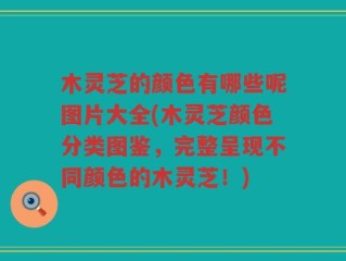 木灵芝的颜色有哪些呢图片大全(木灵芝颜色分类图鉴，完整呈现不同颜色的木灵芝！)