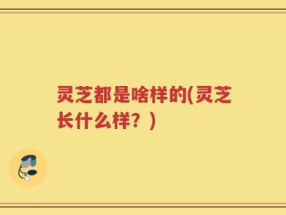 灵芝都是啥样的(灵芝长什么样？)