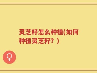 灵芝籽怎么种植(如何种植灵芝籽？)