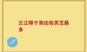 三江哪个茶庄收灵芝最多