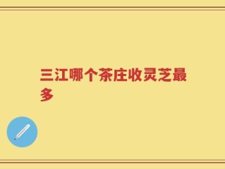 三江哪个茶庄收灵芝最多