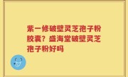 紫一修破壁灵芝孢子粉胶囊？盛海堂破壁灵芝孢子粉好吗