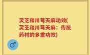 灵芝和川芎天麻功效(灵芝和川芎天麻：传统药材的多重功效)
