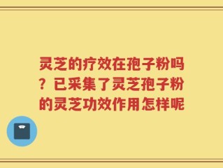 灵芝的疗效在孢子粉吗？已采集了灵芝孢子粉的灵芝功效作用怎样呢