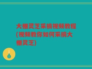 大棚灵芝采摘视频教程(视频教你如何采摘大棚灵芝)