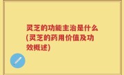 灵芝的功能主治是什么(灵芝的药用价值及功效概述)