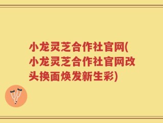 小龙灵芝合作社官网(小龙灵芝合作社官网改头换面焕发新生彩)