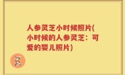 人参灵芝小时候照片(小时候的人参灵芝：可爱的婴儿照片)