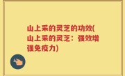 山上采的灵芝的功效(山上采的灵芝：强效增强免疫力)