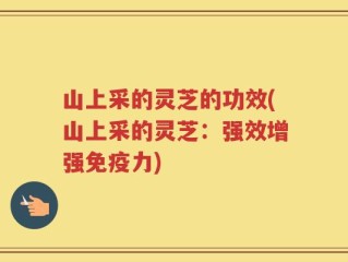 山上采的灵芝的功效(山上采的灵芝：强效增强免疫力)