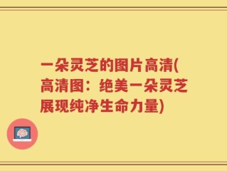 一朵灵芝的图片高清(高清图：绝美一朵灵芝展现纯净生命力量)