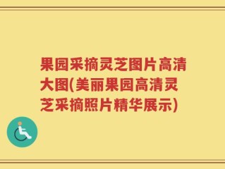 果园采摘灵芝图片高清大图(美丽果园高清灵芝采摘照片精华展示)