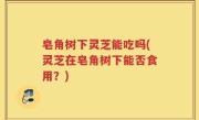 皂角树下灵芝能吃吗(灵芝在皂角树下能否食用？)