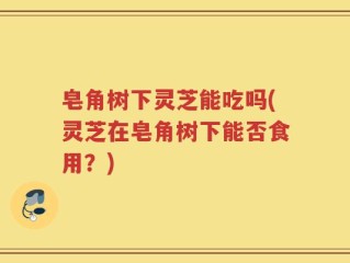 皂角树下灵芝能吃吗(灵芝在皂角树下能否食用？)