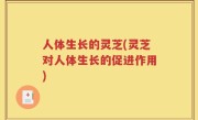人体生长的灵芝(灵芝对人体生长的促进作用)