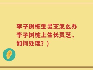 李子树桩生灵芝怎么办李子树桩上生长灵芝，如何处理？)