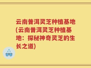 云南普洱灵芝种植基地(云南普洱灵芝种植基地：探秘神奇灵芝的生长之道)
