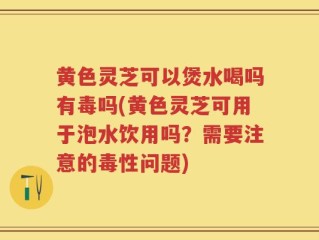 黄色灵芝可以煲水喝吗有毒吗(黄色灵芝可用于泡水饮用吗？需要注意的毒性问题)