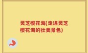 灵芝樱花海(走进灵芝樱花海的壮美景色)