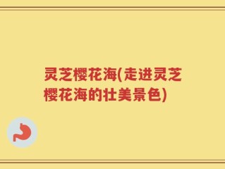 灵芝樱花海(走进灵芝樱花海的壮美景色)