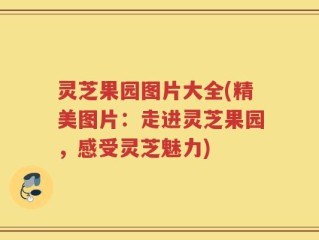 灵芝果园图片大全(精美图片：走进灵芝果园，感受灵芝魅力)