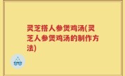 灵芝搭人参煲鸡汤(灵芝人参煲鸡汤的制作方法)