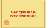 人参灵芝都是宝(人参和灵芝均为珍贵之物)