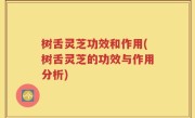 树舌灵芝功效和作用(树舌灵芝的功效与作用分析)