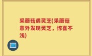 采蘑菇遇灵芝(采蘑菇意外发现灵芝，惊喜不浅)
