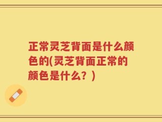 正常灵芝背面是什么颜色的(灵芝背面正常的颜色是什么？)
