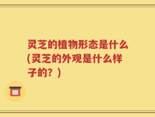 灵芝的植物形态是什么(灵芝的外观是什么样子的？)