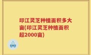 印江灵芝种植面积多大亩(印江灵芝种植面积超2000亩)