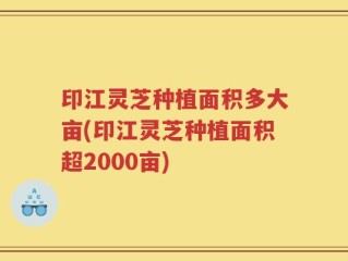 印江灵芝种植面积多大亩(印江灵芝种植面积超2000亩)