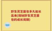 野生灵芝菌包多久能长出来(探秘野生灵芝菌包的成长周期)