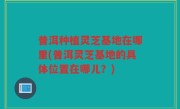 普洱种植灵芝基地在哪里(普洱灵芝基地的具体位置在哪儿？)