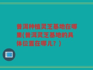 普洱种植灵芝基地在哪里(普洱灵芝基地的具体位置在哪儿？)