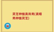 灵芝种植离异男(离婚男种植灵芝)