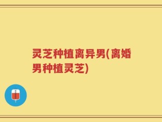 灵芝种植离异男(离婚男种植灵芝)