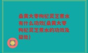 桑黄大枣枸杞灵芝煮水有什么功效(桑黄大枣枸杞灵芝煮水的功效及益处)