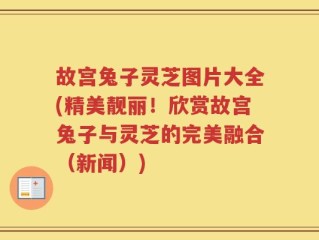 故宫兔子灵芝图片大全(精美靓丽！欣赏故宫兔子与灵芝的完美融合（新闻）)